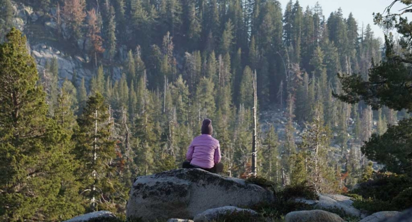A person sits on a rock with their back to the camera. They are facing a steep slope covered in trees.